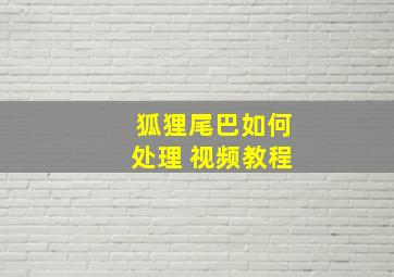 狐狸尾巴如何处理 视频教程